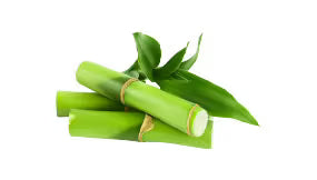 Bamboo Silica