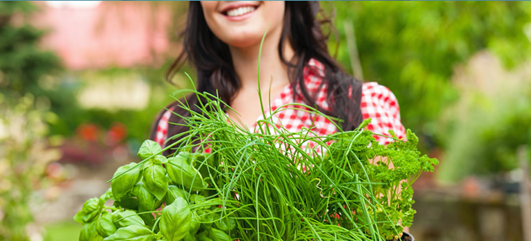 7 Plants to Grow for Better Hair Health