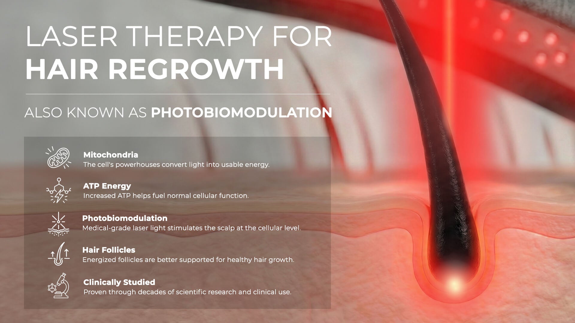 Laser Therapy for Hair Regrowth