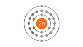 Zinc Hydrolyzed  <br> Protein